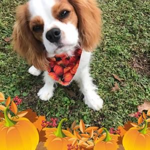 Meet your Posher, Jodi